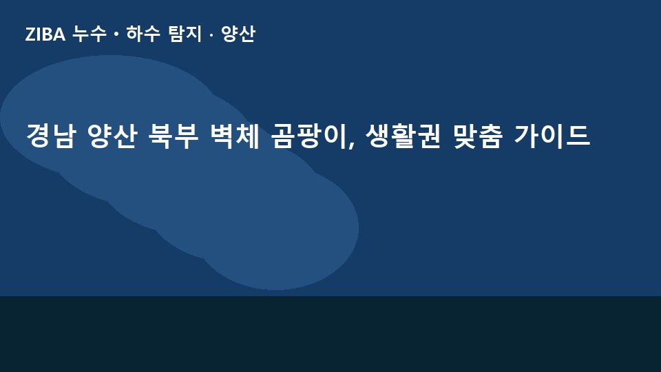 경남 양산 북부 벽체 곰팡이, 생활권 맞춤 가이드